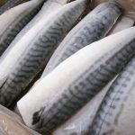 news 1703704358 1530